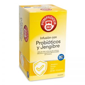 infusion con probioticos y jengibre